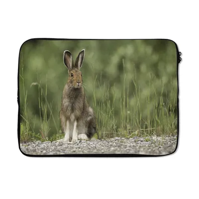 Produktbild von MuchoWow® Laptop Hülle 14 ZollHase - Tier - Gras Laptoptasche - Laptoptasche - Stoßsicher - Schutzhaube