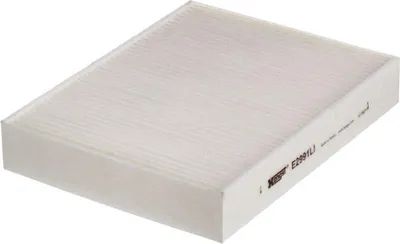 Immagine prodotto di Filtro ambiente HENGST E2991LI
