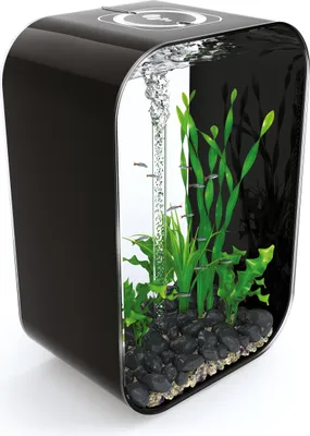 Produktbild von biOrb LIFE 60 MCR schwarz (72060)