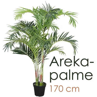 Immagine prodotto di Palmizio Palma Areca Albero Pianta Artificiale 170cm Decovego