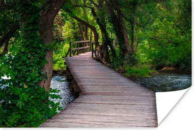 Produktbild von MuchoWow® Poster Wald - Natur - Brücke 60x40 cm - Schlafzimmerdekoration