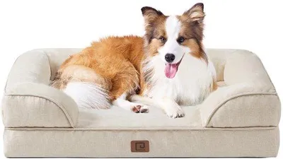 Immagine prodotto di Cuccia ortopedica per cani, 104x69x15 cm, lavabile, impermeabile, antiscivolo, beige