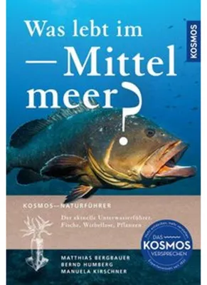 Obrázok produktu pre Was lebt im Mittelmeer?