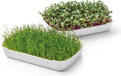 Produktbild von Anbauset für Microgreens SENSE