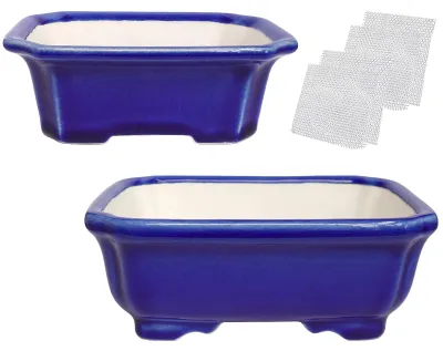 Image de Ensemble de 2 pots en argile blanche Zisha émaillée, parfaits pour les bonsaïs et les plantes succulentes