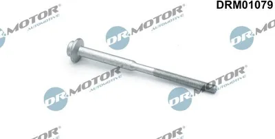 Produktbild von DR.MOTOR AUTOMOTIVE Schraube Einspritzdüsenhalter DRM01079 für VW Golf VII Schrägheck (5G1, BQ1, BE1, BE2)