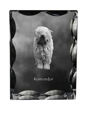 Produktbild von Komondor Kristallrahmen mit Hund Art-Dog