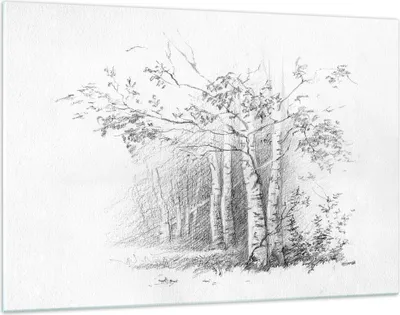 Produktbild von Bilder auf glas - Einteilig - Skizze Wald Birke - 120x80cm - Glasbilder - Wandbilder - Bilder - zum Aufhängen bereit - Wanddekoration aus Glas - Glas Bilder - Wandbild auf Glas - GAA120x80-4280