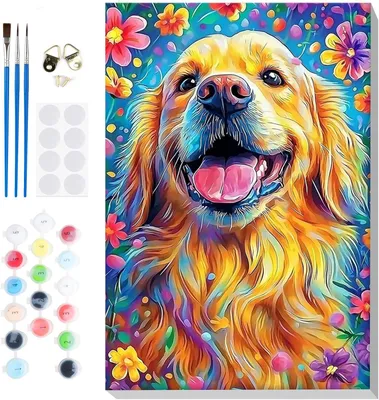 Productafbeelding van Schilderen op nummer, volwassenen, met lijst, schilderen op nummer, hond, doe-het-zelf set voor volwassenen, met kwasten en acrylverf