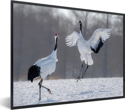Produktbild von MuchoWow® MuchoWow® Gerahmtes Poster Kranich - Vögel - Schnee 40x30 cm - Poster mit zchwarzem Bilderrahmen - Kunstposter - Wanddekorationen