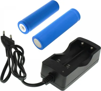 Two blue 18650 Li-Ion batteries and a black dual battery charger are arranged on a white background.