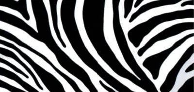 Produktbild von Klebefolie - Möbelfolie Zebra - schwarz weiss -  45 cm x 200 cm Wildlife