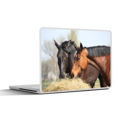 Produktbild von MuchoWow® Laptop Aufkleber Sticker Cover Pferde - Heu - Tiere 40x30 cm - Laptop Dekoration - Selbstklebend