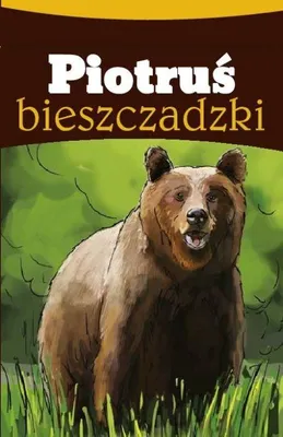 Produktbild von Piotruś aus den Bieszczady-Bergen. Spielkarten