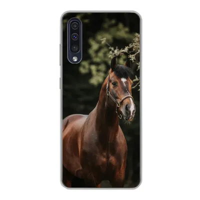Produktbild von MuchoWow® Handyhülle Schutzhülle Hülle für Samsung Galaxy A30s Pferd - Äste - Porträt Silikon Softcase Handy Hülle - Karteninhaber