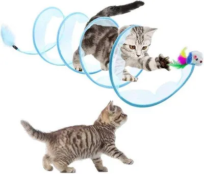 Image de Tunnel pour chat en plastique, bleu, d'une seule pièce, pliable