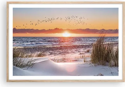 Produktbild von Gerahmtes Poster - Rahmen in heller Eiche - Sonne Strand Vögel - 91,5x61 cm - Wand Bild - Wanddeko - Wandbilder - Kunstposter - Wandposter - Bilderrahmen - Bilder - Kunstdruck - P2NAA91x61-4727