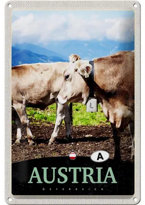 Produktbild von Blechschild Reise 20x30cm Österreich Tiere Weide Natur Gebirge