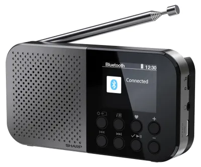 Obrázek produktu pro Sharp DR-P520, Osobní, Digitální, DAB, DAB+, FM, AAC, 5,08 cm (2"), USB typu C