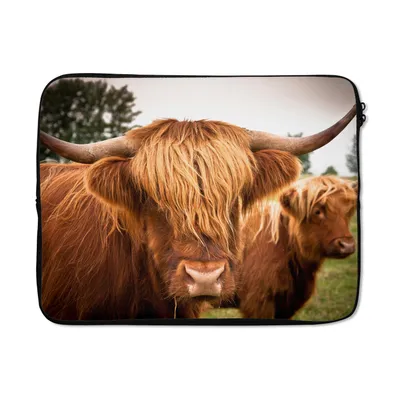 Produktbild von MuchoWow® Laptop Hülle 15 Zoll Schottische Highlander - Braun - Gras Laptoptasche - Laptoptasche - Sleeve - Rundum-Schutz