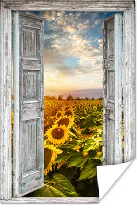 Produktbild von MuchoWow® Poster Transparent - Sonnenblume - Blumen - Sonne 120x180 cm - Kunstposter