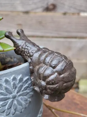 Produktbild von Gusseisen Schnecke zum Einhängen
