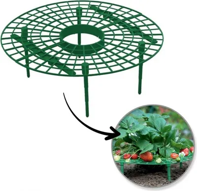 Produktbild von Flamenco Mystique Pflanzenständer, Stütze für Erdbeeren 30 cm ROS20