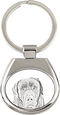 Image de Labrador retriever - porte-clés avec chien, porte-clés imprimé, pendentif personnalisé de la marque Art-Dog