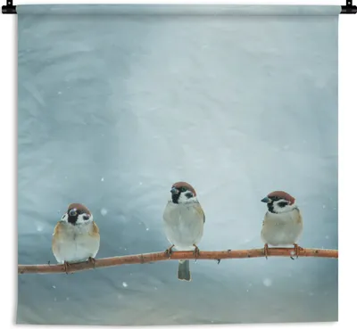 Produktbild von MuchoWow® Wandteppich Wandbehang Vögel - Spatz - Schnee - Winter 150x150 cm Tapisserie Dekoration Wandtuch - Wohnaccessoires - Modernes