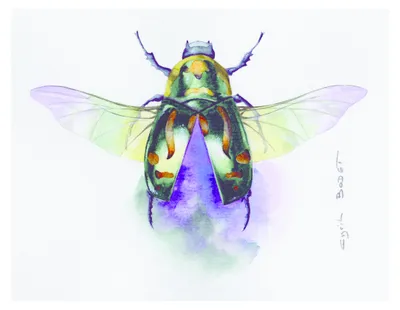 Produktbild von Clairefontaine Etival Aquarellpapier feinkörnig, 25 Bogen 300g, 50x65 cm 93458C