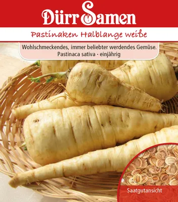 Produktbild von Pastinake Halblange weiße | Pastinakensamen von Dürr Samen