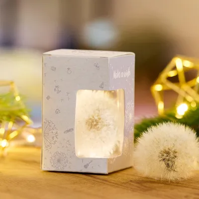 Produktbild von Wunscherfüller Geldgeschenk Verpackung kreative Geschenkidee mit Pusteblume