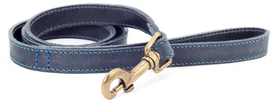 Produktbild von Hundeleine aus Leder, 60 cm, blau