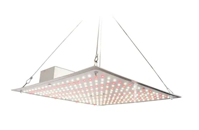 Produktbild von Grower LED-Pflanzenbeleuchtung 70 W (30 cm) | LED Pflanzenlampen von Romberg
