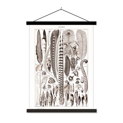Produktbild von MuchoWow® Textilposter Vogel - Federn - Tiere 90x120 cm mit schwarzem Rahmen - Dekoration