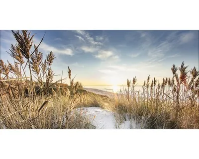 Produktbild von Giclée Leinwandbild Wilder Strand III 200x100 cm