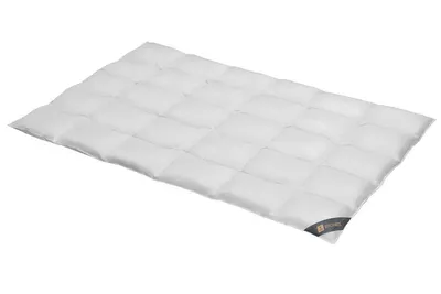 Produktbild von Daunendecke 155x200 cm 90 % Daunen    Bettdecke Steppdecke Daunen SPESSARTTRAUM BRONZE