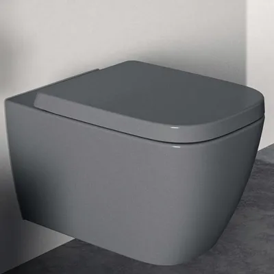 Immagine prodotto di WC sospeso i.life B RimLS+ 360x545x335 mm, senza bordo grigio grigio