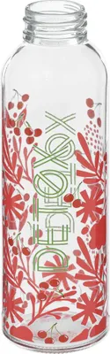 Produktbild von Detox limonadenflasche 50 cl - 5 five simply smart