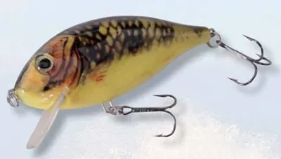 Produktbild von Evia Yokozuna Wobbler CANETE 90mm 18,5g Farbe SK08