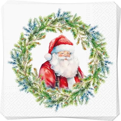 Immagine prodotto di tovaglioli a 3 veli "Joyful Claus", 33 cm x 33 cm, 20 pezzi.