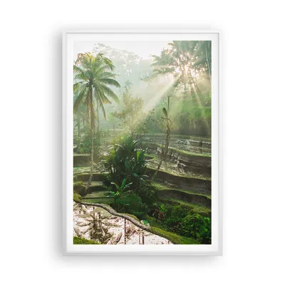 Produktbild von Gerahmtes Poster - Weißer Rahmen - Terrassen Reis Palmen - 70x100 cm - Wand Bild - Wanddeko - Wandbilder - Kunstposter - Wandposter - Bilderrahmen - Bilder - Kunstdruck - P2WPA70x100-4665
