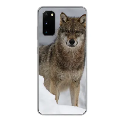 Produktbild von MuchoWow® Handyhülle Schutzhülle Hülle für Samsung Galaxy S20 Wolf - Schnee - Tiere Silikon Softcase Handy Hülle - Bild
