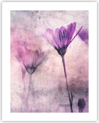 Produktbild von Poster - Poster ohne Rahmen - Blumen Rosa Vintage - 40x50 cm - Wand Bild - Wanddeko - Wandbilder - Kunstposter - Wandposter - Bilder - Kunstdruck - Wanddekoration - Wandbild - P2XPA40x50-4432