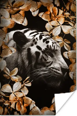 Produktbild von MuchoWow® Poster Tiger - Zebra - Blätter 120x180 cm - Kunstposter