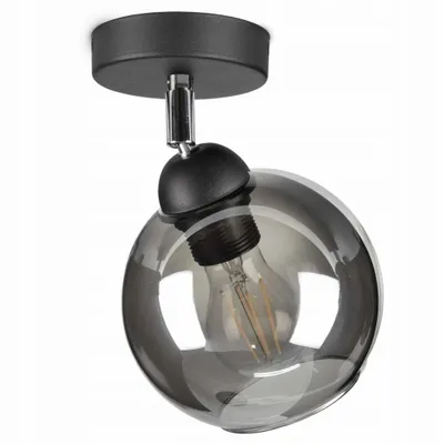 A black ceiling lamp with a smoky glass globe shade and an exposed filament bulb.