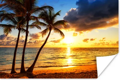 Produktbild von MuchoWow® Poster Strand - Horizont - Sonnenuntergang - Palme - Meer 90x60 cm - Schlafzimmer