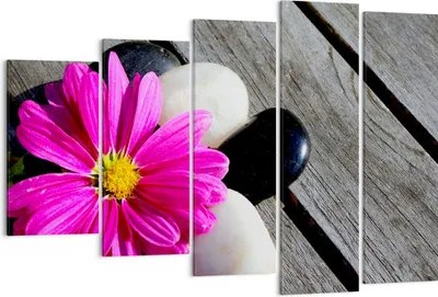 Produktbild von Bild auf Leinwand - Leinwandbild - Stein Blume Blütenblätter Chrysantheme - 150x100cm - Wand Bild - Wanddeko - Leinwanddruck - Bilder - Kunstdruck - Leinwand bilder - Wandkunst - EG150x100-2302