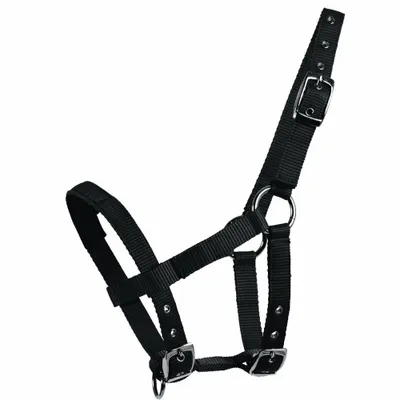 Zdjęcie produktu dla Waldhausen Padded Halter Foal Źrebię