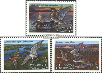 Produktbild von Briefmarken Russland 1992 Mi 254-256 (kompl.Ausg.) postfrisch Enten